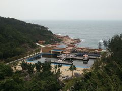 -广东惠东海龟国家级自然保护区