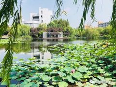 -杭州师范大学(下沙校区)