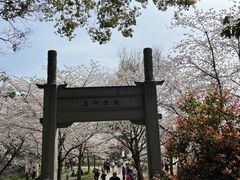 -苏州上方山国家森林公园