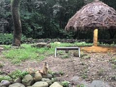 -上海野生动物园