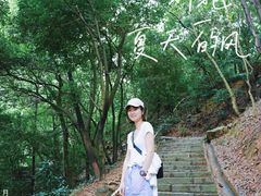 -火炉山森林公园