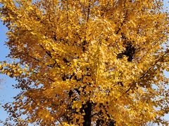 -太湖湾开元名庭大酒店