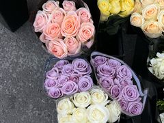 -宝鸡东道花鸟鱼虫市场(吉利花园商场店)