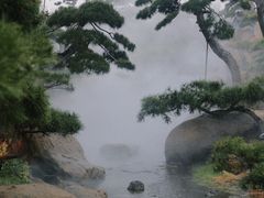 -罗红摄影艺术馆