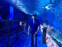 -迪拜水族馆及水下动物园
