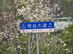 -古琴台