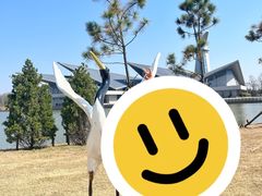 -盐城丹顶鹤湿地生态旅游区