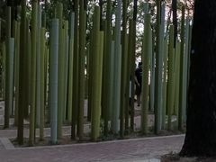 -东湖落雁景区