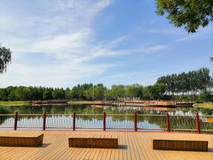 -东郊湿地公园