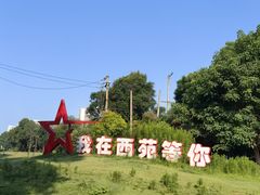 -西苑公园