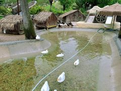 -珠海海泉湾神秘岛亲子乐园