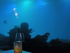 -涛·海底餐厅·美人鱼·自助餐·海底隧道(三亚海棠湾洲际度假酒店)