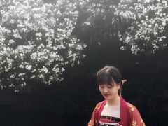 -汉仪华裳汉服旗袍·摄影写真馆(乌镇西栅店)