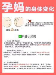 -海豚湾高端月子会所(黄浦店)