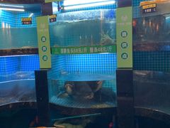 水产区-千岛湖小鱼儿·淳安匠心农家菜