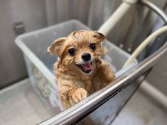 -喵汪宠物生活馆(涞坊路店)