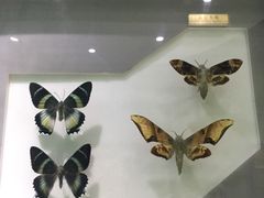 -上海昆虫博物馆