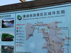 -溱湖国家湿地公园