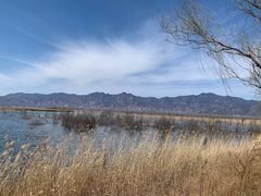 -野鸭湖国家湿地公园