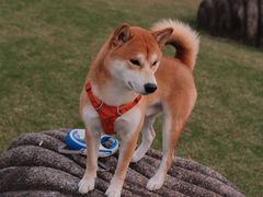-上海月湖雕塑公园