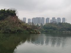-重庆彩云湖湿地公园