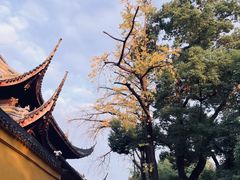 -西园寺