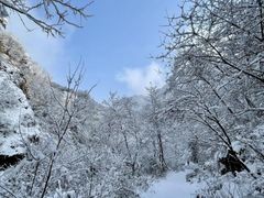 -秦岭风景区
