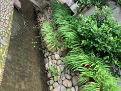 -前童古镇
