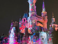 -上海迪士尼度假区