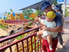 -西霞口神雕山野生动物世界