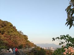 -福道