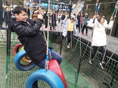 -梦幻奥陶纪景区