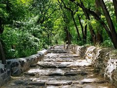 -阳台山自然风景区