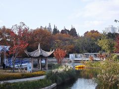 -中山公园