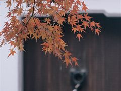 -秋霞圃