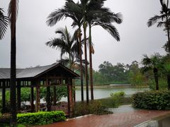 -雀儿山公园