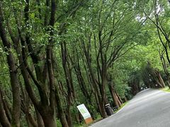 -同里国家湿地公园