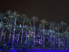 -三亚红色娘子军演艺公园景区
