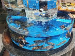 -乔家小院•非遗驴肉•本地小海鲜(滨河路店)