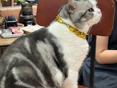 -百金通黄金回收首饰定制维修(珠江路总部)