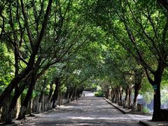 -西南政法大学(沙坪坝校区)