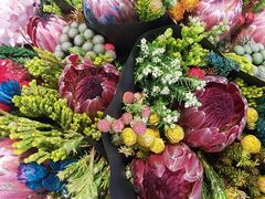 -双季花艺园艺市场(浦东店)