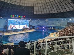 -泉城欧乐堡海洋极地世界