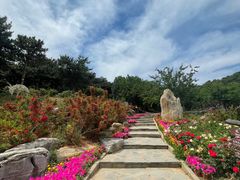 -北京西山国家森林公园