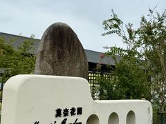 -杭州湾海上花田景区