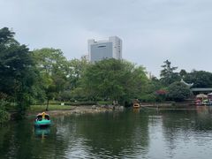 -桂湖森林公园
