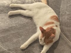 -新发现(苏州中心商场店)