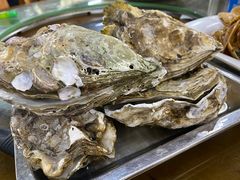 -蚝得喜海鲜(东城店)