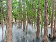 -东湖落雁景区