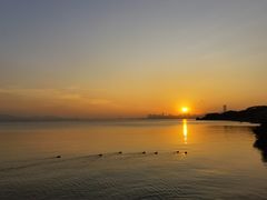 -深圳湾公园(南山区)